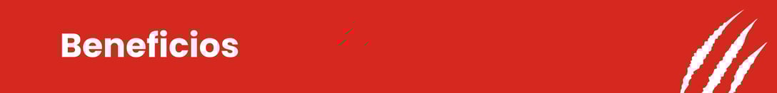 9-Sep-08-2025-05-53-24-7525-PM